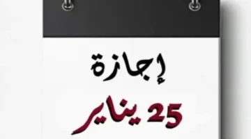 ترحيل رسمي.. موعد إجازة ذكرى 25 يناير لموظفي القطاعين العام والخاصوفق قرارات الحكومة